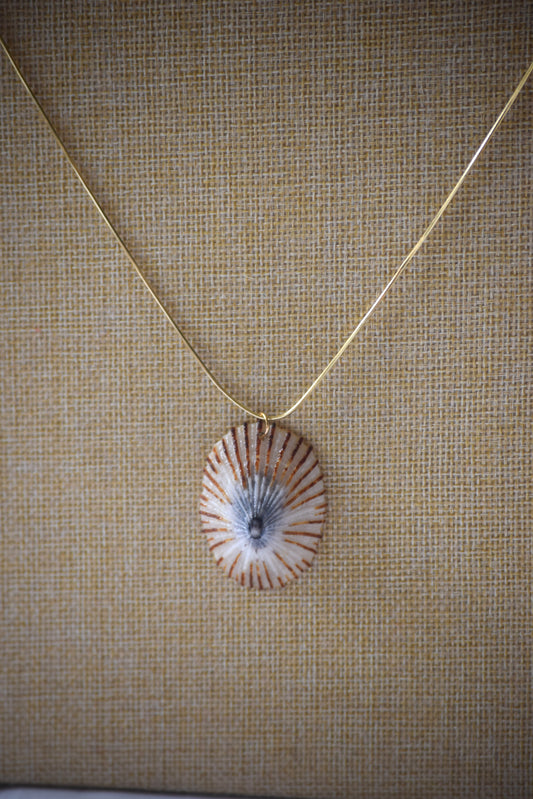 ʻOpihi Shell Necklace